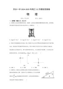 2025届甘肃省天水市第一中学高三(上)12月模拟预测物理试卷(含答案)