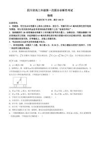 四川省成都市蓉城名校联盟2025届高三上学期高考第一次联合性诊断性考试物理