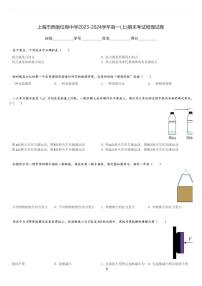 上海市西南位育中学2023-2024学年高一(上)期末考试物理试卷(含解析)