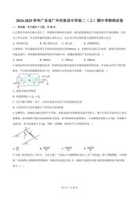 2024～2025学年广东省广州市执信中学高二(上)期中考物理试卷(含答案)