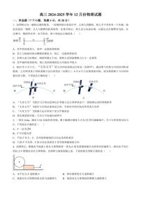 2024～2025学年河北省唐县第一中学高三(上)12月月考物理试卷(含解析)