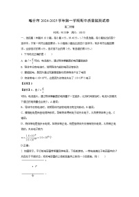 2024~2025学年新疆喀什地区喀什市高二上学期期中物理试卷(解析版)