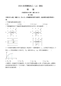 2024北京朝阳高二（上）期末物理试卷（教师版）