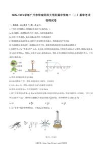 2024～2025学年广东省广州市华南师范大学附属中学高二(上)期中物理试卷(含答案)