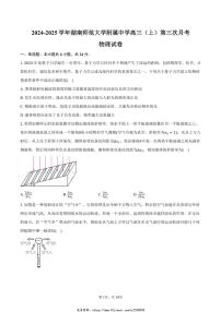 2024～2025学年湖南省长沙市湖南师范大学附属中学高三(上)第三次月考物理试卷(含答案)