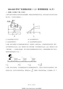 2024～2025学年广东省清远市高三(上)联考物理试卷(11月)(含答案)