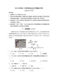 2024-2025学年上海市奉贤区高三上学期高考一模物理试卷含答案