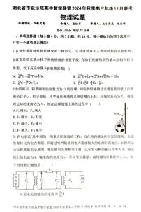 【湖北卷】湖北省市级示范高中智学联盟2024-2025学年高三上学期2024年秋季12月联考（12.5-12.6）物理试卷+答案