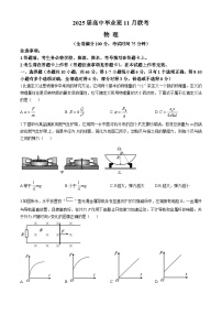 广西新课程教研联盟2024-2025学年高三上学期11月联考物理试卷（Word版附解析）