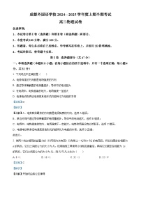 四川省成都市成都外国语学校2024-2025学年高二上学期期中检测物理试题（Word版附解析）