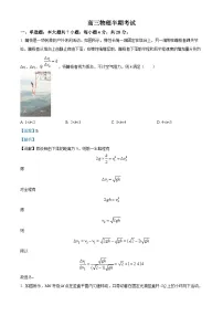 四川省成都市列五中学2024-2025学年高三上学期11月期中考试物理试题（Word版附解析）