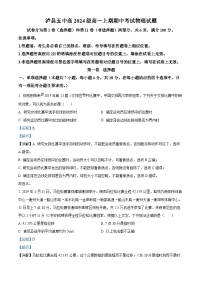 四川省泸州市泸县第五中学2024-2025学年高一上学期11月期中考试物理试题（Word版附解析）