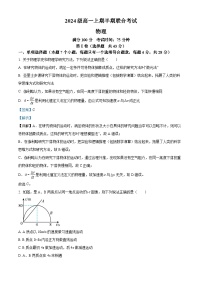 四川省宜宾市第一中学2024-2025学年高一上学期期中考试物理试题（Word版附解析）