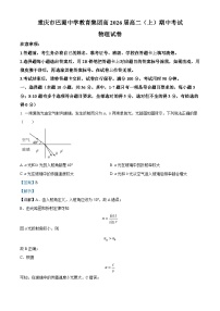 重庆市巴蜀中学2024-2025学年高二上学期11月期中物理试题（Word版附解析）