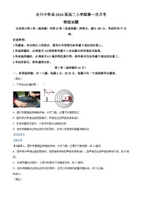 重庆市合川中学2024-2025学年高二上学期第一次月考物理试题（Word版附解析）