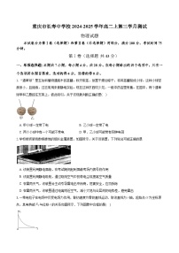 重庆市长寿中学2024-2025学年高二上学期12月月考物理试题（Word版附答案）