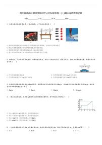 四川省成都外国语学校2023-2024学年高一(上)期中考试物理试卷(含解析)