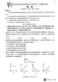 2025届广西壮族自治区贵港市高三上学期12月模拟考试物理试题