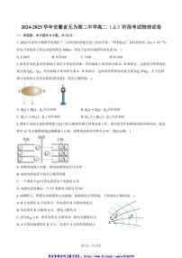 2024～2025学年安徽省无为第二中学高二(上)阶段考试物理试卷(含答案)