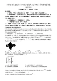 2025届湖北省武汉二中等部分学校高三上学期12月联考物理试题 （解析版）