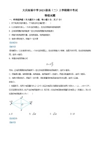 黑龙江省大庆市实验中学实验二部2024-2025学年高二上学期期中考试物理试题（Word版附解析）