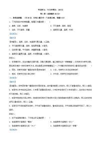 重庆市2023_2024学年高一物理上学期10月月考试题含解析