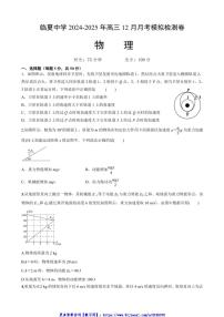 2024～2025学年甘肃省临夏回族自治州临夏中学高三(上)12月月考物理试卷(含答案)