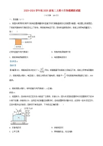 重庆市2023_2024学年高二物理上学期10月模拟试题含解析