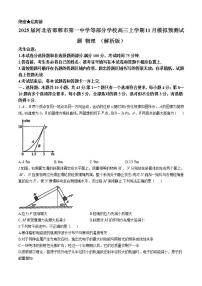 2025届河北省邯郸市第一中学等部分学校高三上学期11月模拟预测试题 物理 （解析版）