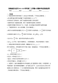 河南省驻马店市2024-2025学年高二上学期11月期中考试物理试卷(含答案)