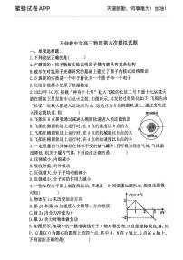 天津市蓟州区马神桥中学2024-2025学年高三上学期第六次模拟物理试卷
