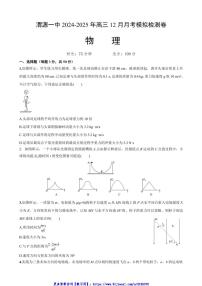 2024～2025学年甘肃省定西市渭源县第一中学高三(上)12月月考模拟预测物理试卷(含答案)