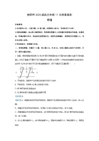 2025届贵州省贵阳市高三(上)11月模拟预测物理试卷(解析版)