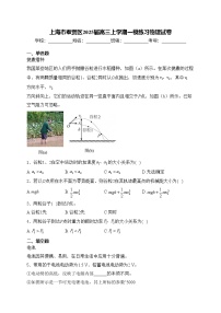 上海市奉贤区2025届高三上学期一模练习物理试卷(含答案)