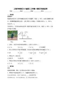 上海市奉贤区2025届高三上学期一模练习物理试卷(含答案)