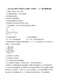 2024-2025学年广东省中山市第二中学高二（上）期中物理试卷（含答案）