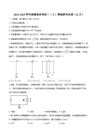 2024-2025学年湖南省秋季高二（上）物理联考试卷（12月）（含答案）