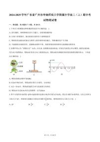 2024-2025学年广东省广州市华南师范大学附属中学高二（上）期中考试物理试卷（含答案）