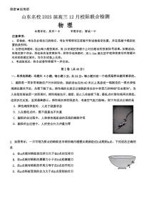 山东省部分名校2025届高三上学期12月校际联合检测物理试题+答案