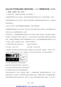 2024～2025学年湖北省新八校协作体高二(上)物理联考(月考)试卷(12月)(含答案)