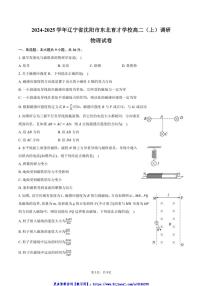 2024～2025学年辽宁省沈阳市东北育才学校高二(上)调研月考物理试卷(含答案)