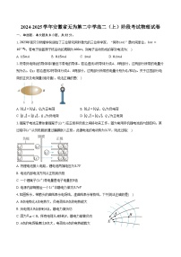 2024-2025学年安徽省无为第二中学高二（上）阶段考试物理试卷（含答案）