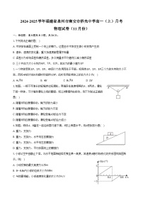 2024-2025学年福建省泉州市南安市侨光中学高一（上）月考物理试卷（11月份）（含答案）