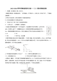 2023-2024学年河南省郑州市高一（上）期末物理试卷（含答案）