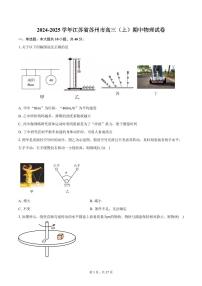 2024-2025学年江苏省苏州市高三（上）期中物理试卷（含详解）