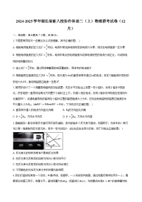 2024-2025学年湖北省新八校协作体高二（上）物理联考试卷（12月）（含答案）