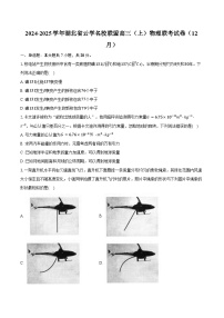 2024-2025学年湖北省云学名校联盟高三（上）物理联考试卷（12月）(含答案）