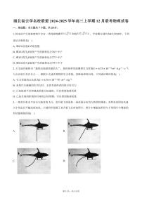 湖北省云学名校联盟2024-2025学年高三上学期12月联考物理试卷（含答案）