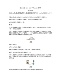 重庆市育才中学校2024-2025学年高三上学期12月月考物理试题