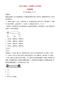 四川省2023_2024学年高二物理上学期10月月考题含解析